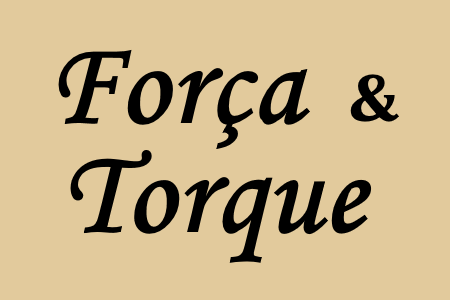 Estudo das forças e torques magnéticos