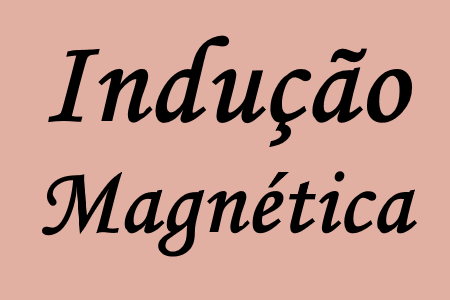 Estudo da indução magnética